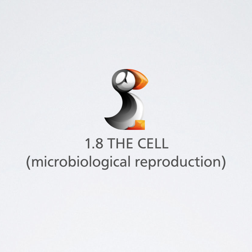 microbial replication