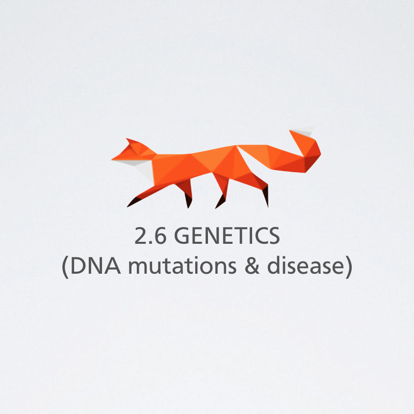 mutations genetic diseases