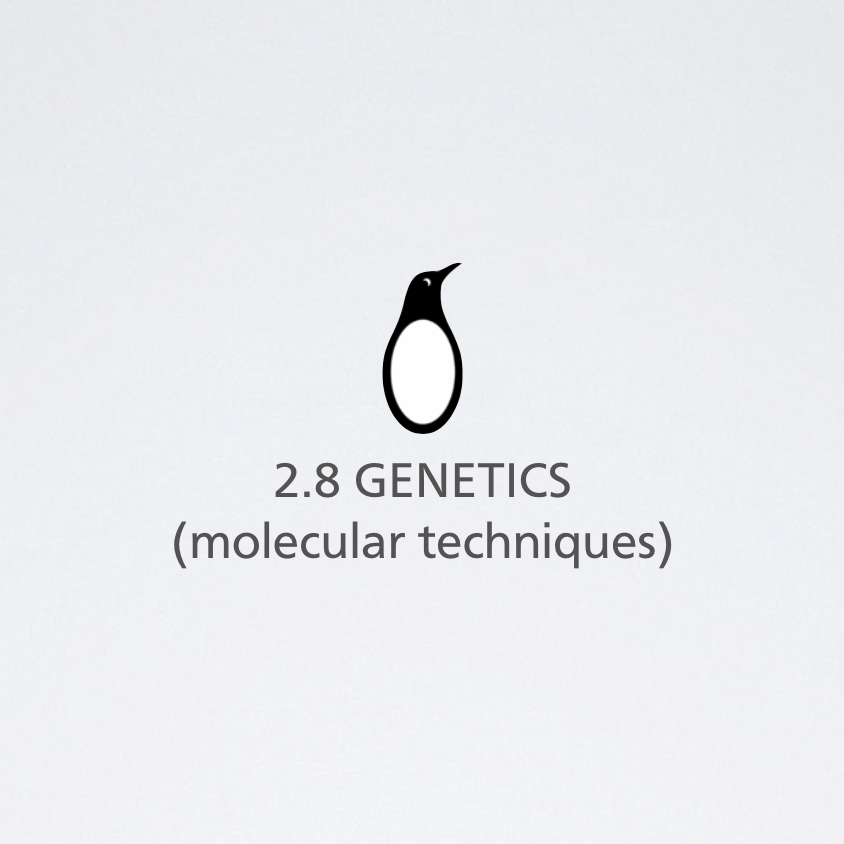 molecular techniques