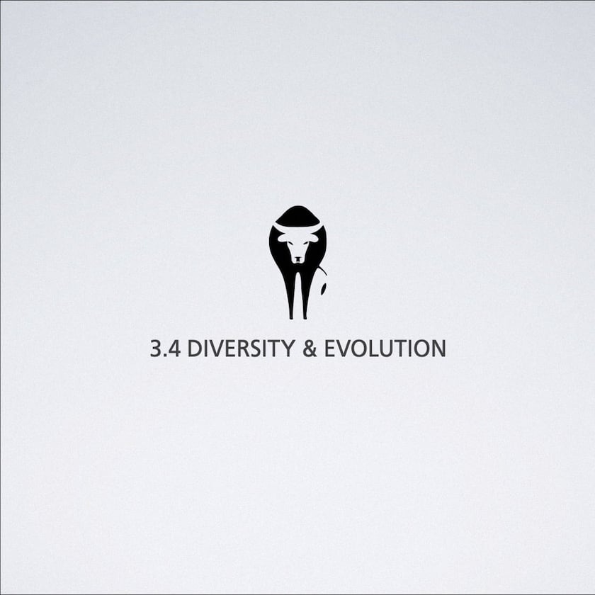 Diversity & evolution